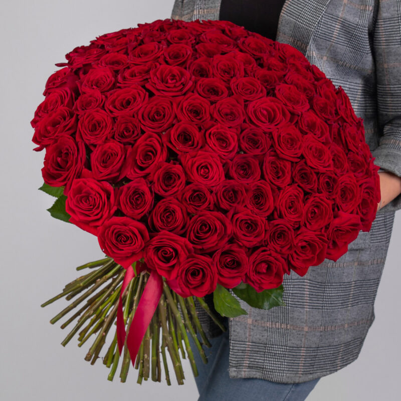 101 Красная Роза